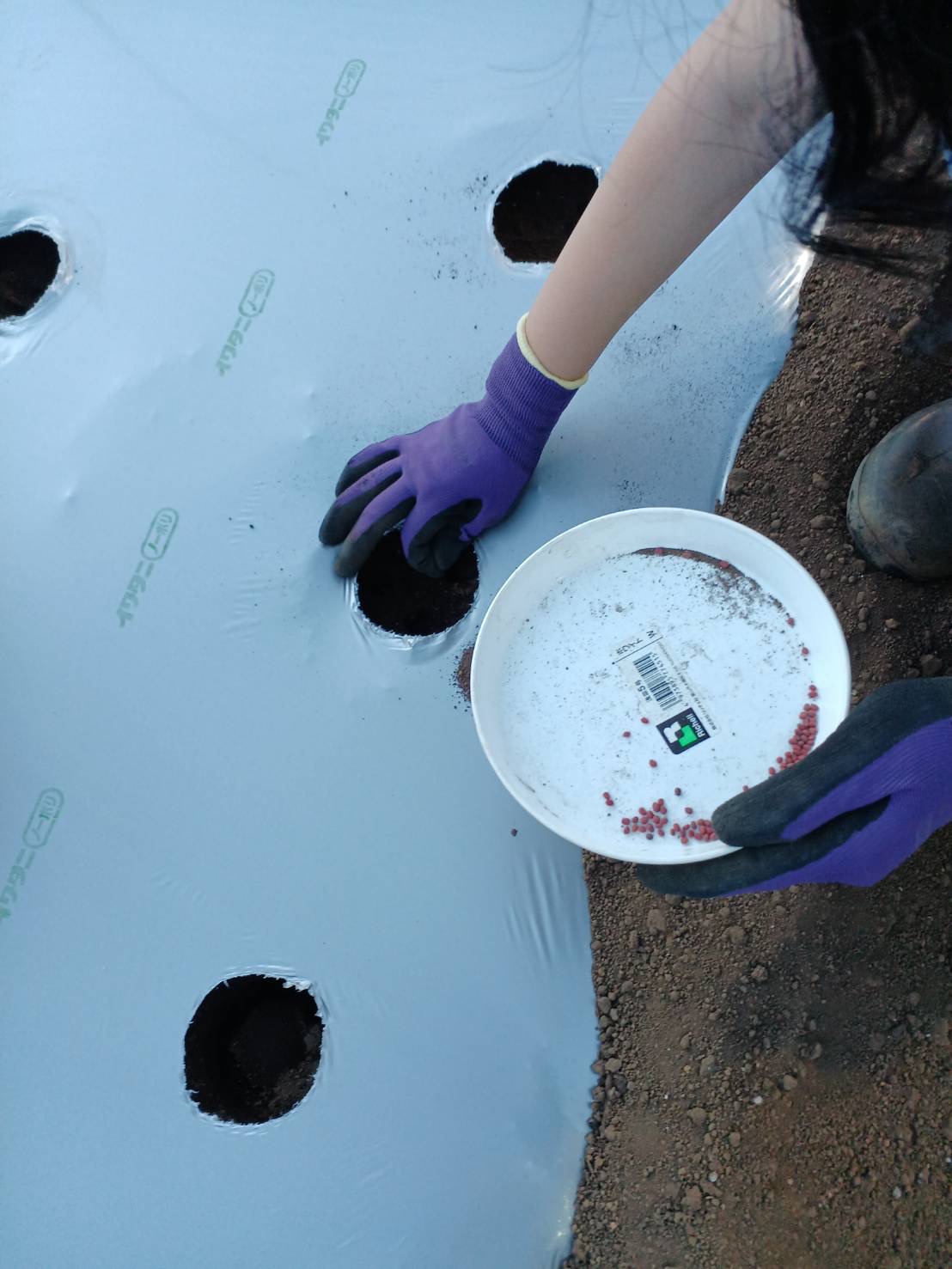 画像 -20240913-122508-e543cc31